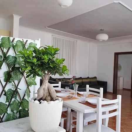 Homea Cozy * Tirana